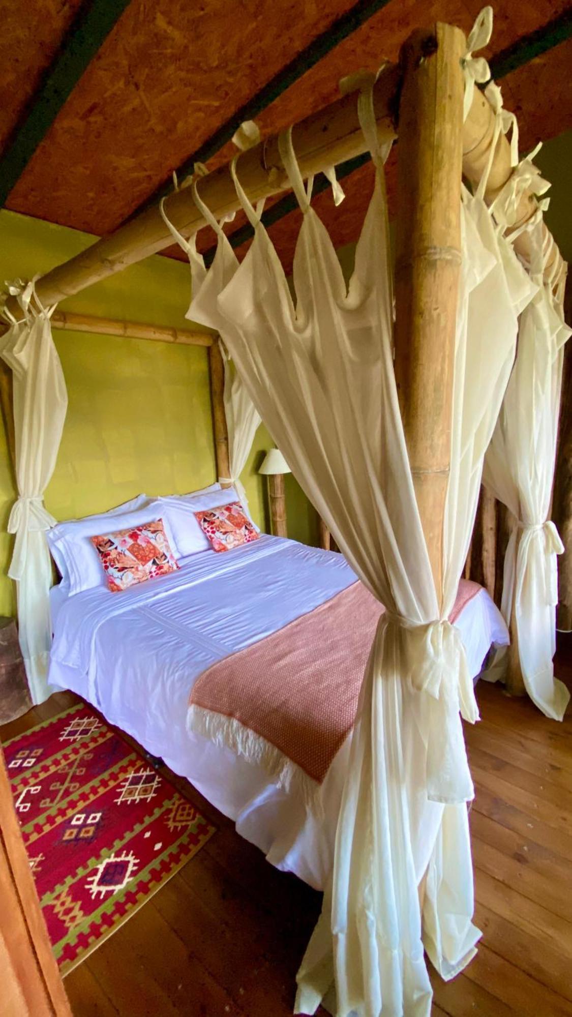 Ancestral Glamping Campsite *