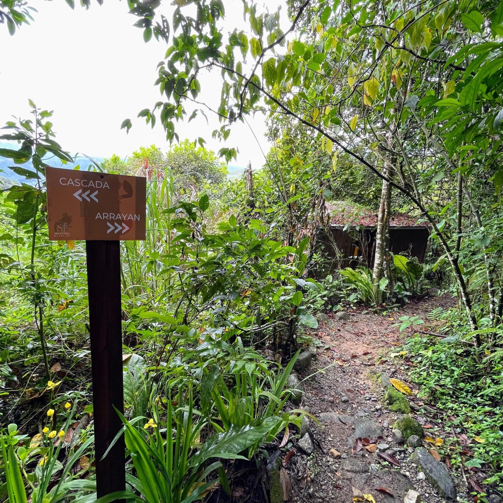 Ancestral Glamping * Barbosa (Antioquia)