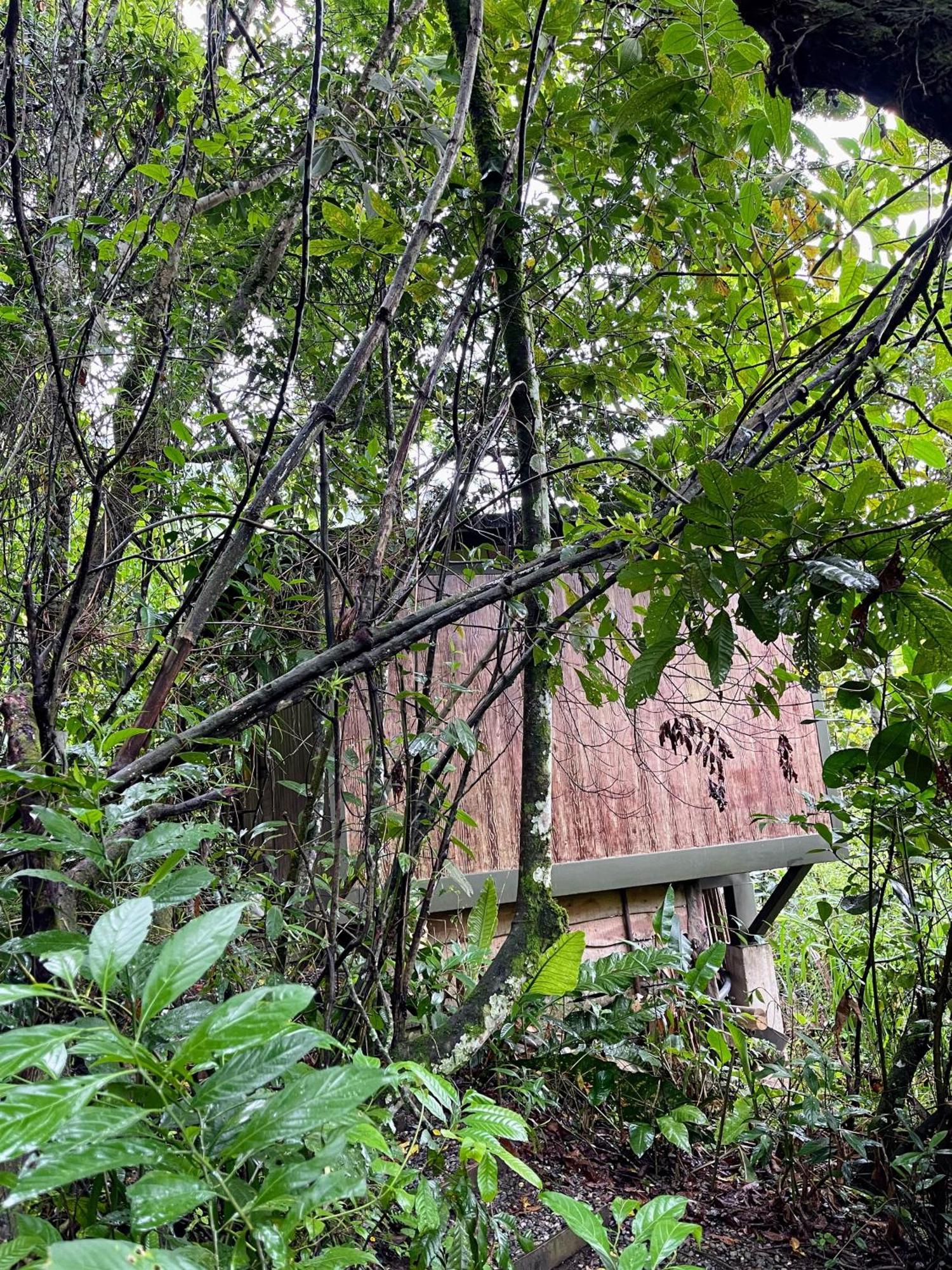 Campsite Ancestral Glamping *